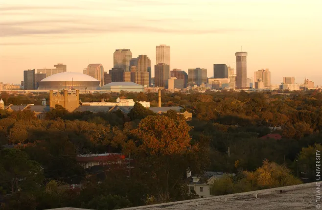 NOLA skyline